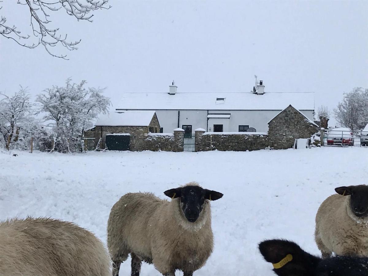 Mournes Family Cottage With Hot Tub Hilltown Εξωτερικό φωτογραφία