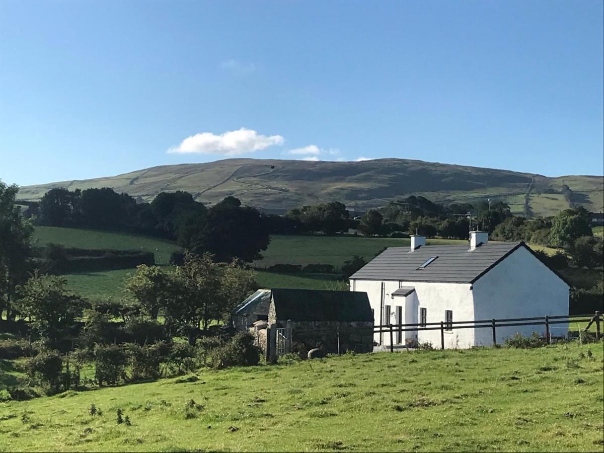 Mournes Family Cottage With Hot Tub Hilltown Εξωτερικό φωτογραφία